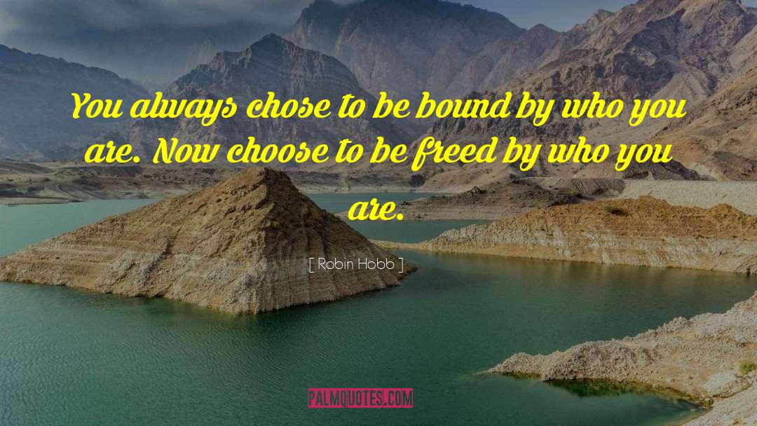 Robin Hobb Quotes: You always chose to be