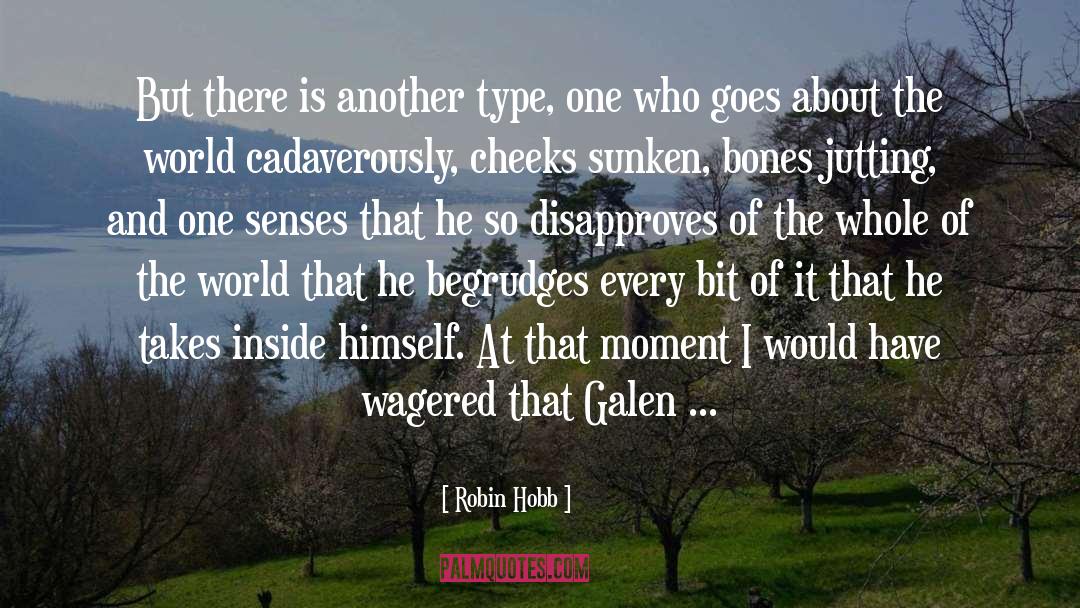 Robin Hobb Quotes: But there is another type,