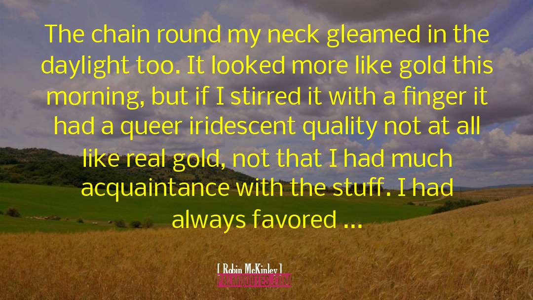 Robin McKinley Quotes: The chain round my neck