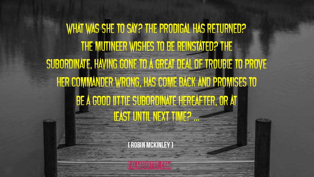 Robin McKinley Quotes: What was she to say?