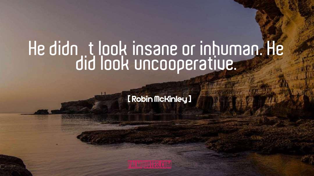 Robin McKinley Quotes: He didn't look insane or