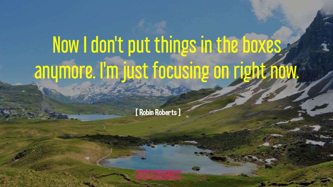 Robin Roberts Quotes: Now I don't put things