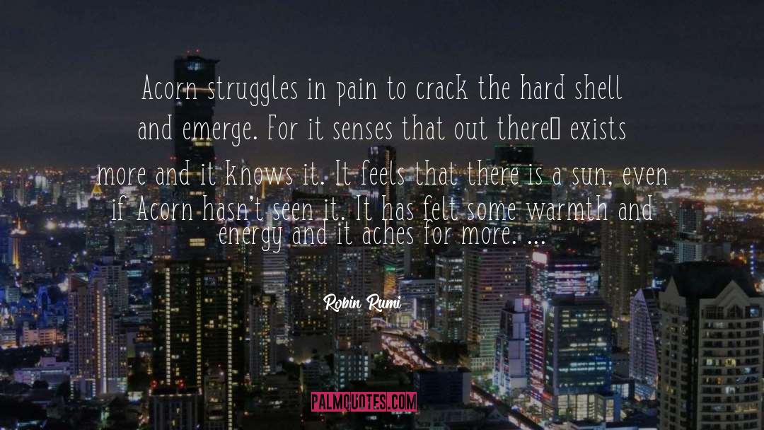 Robin Rumi Quotes: Acorn struggles in pain to
