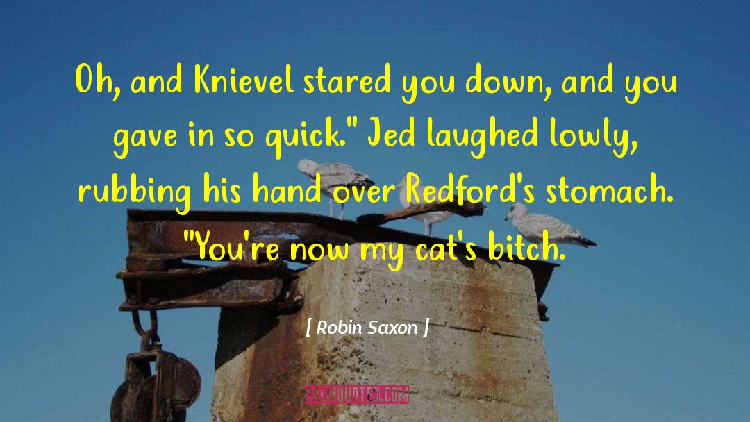 Robin Saxon Quotes: Oh, and Knievel stared you