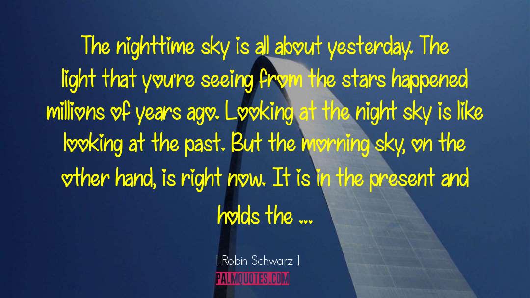 Robin Schwarz Quotes: The nighttime sky is all