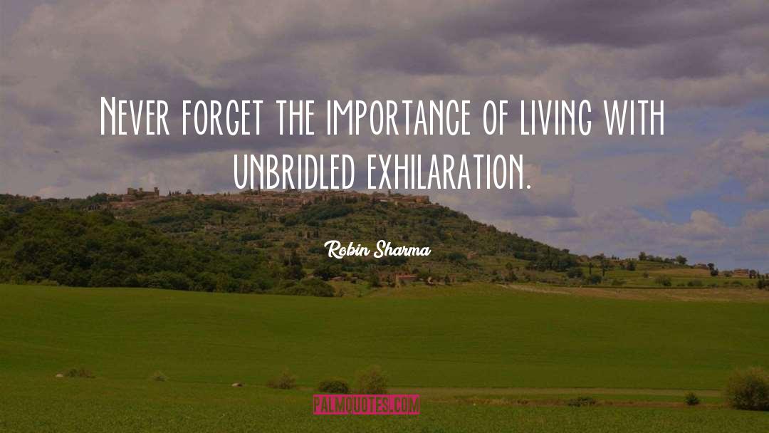 Robin Sharma Quotes: Never forget the importance of