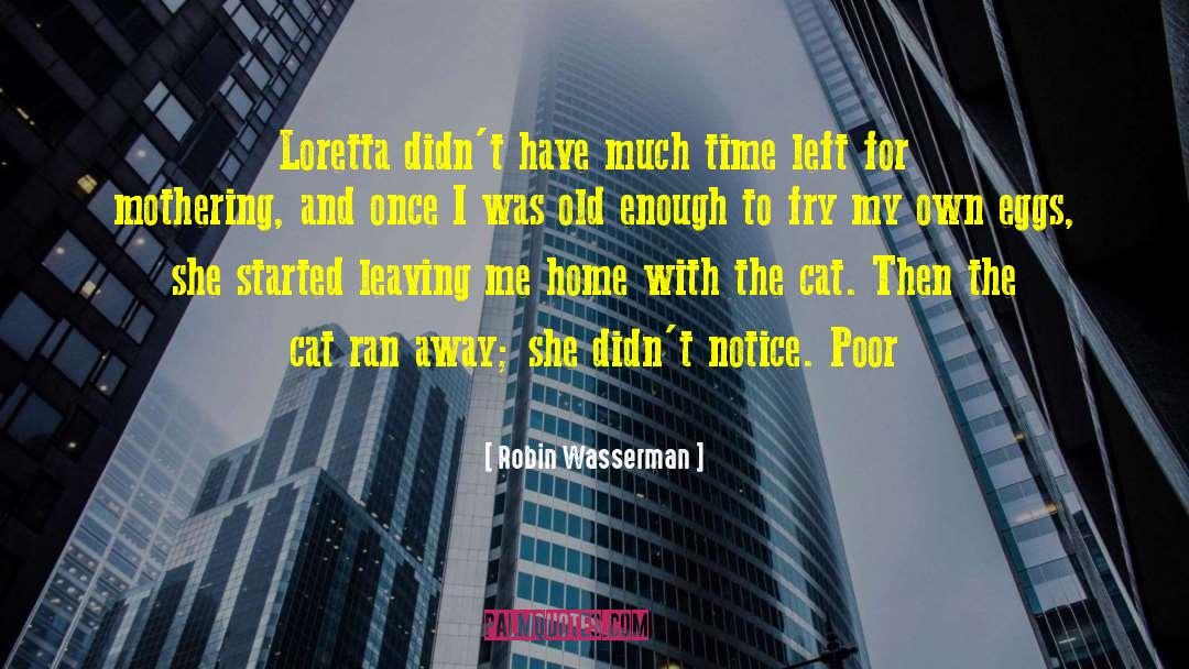 Robin Wasserman Quotes: Loretta didn't have much time