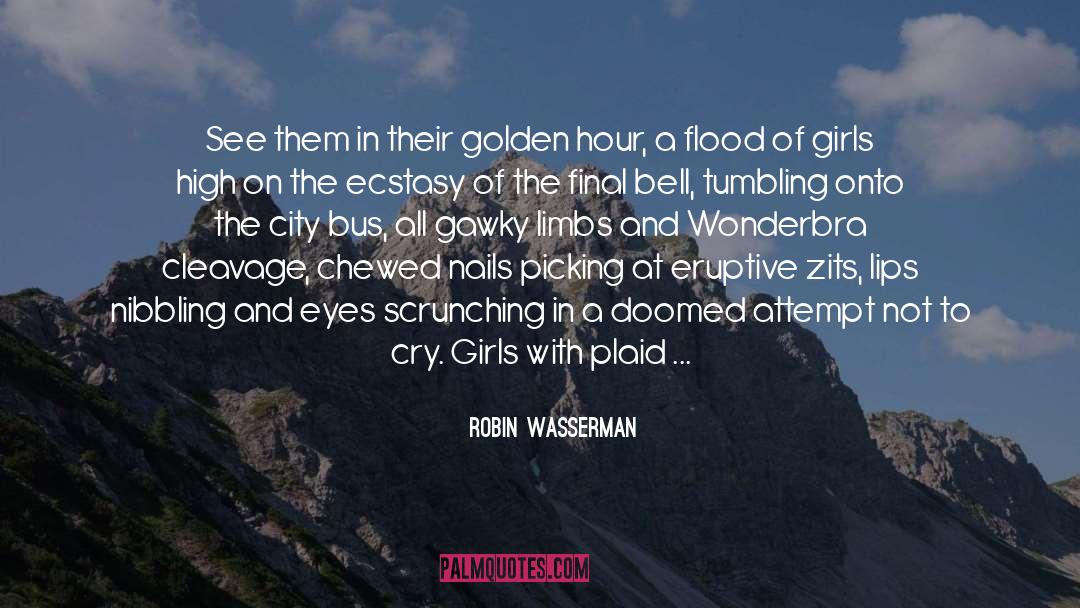 Robin Wasserman Quotes: See them in their golden