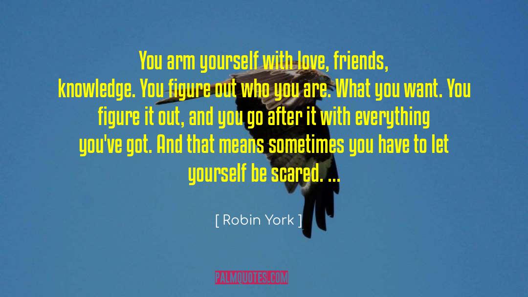 Robin York Quotes: You arm yourself with love,