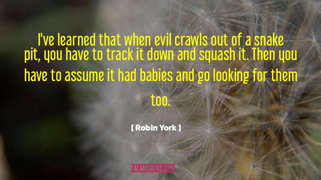 Robin York Quotes: I've learned that when evil