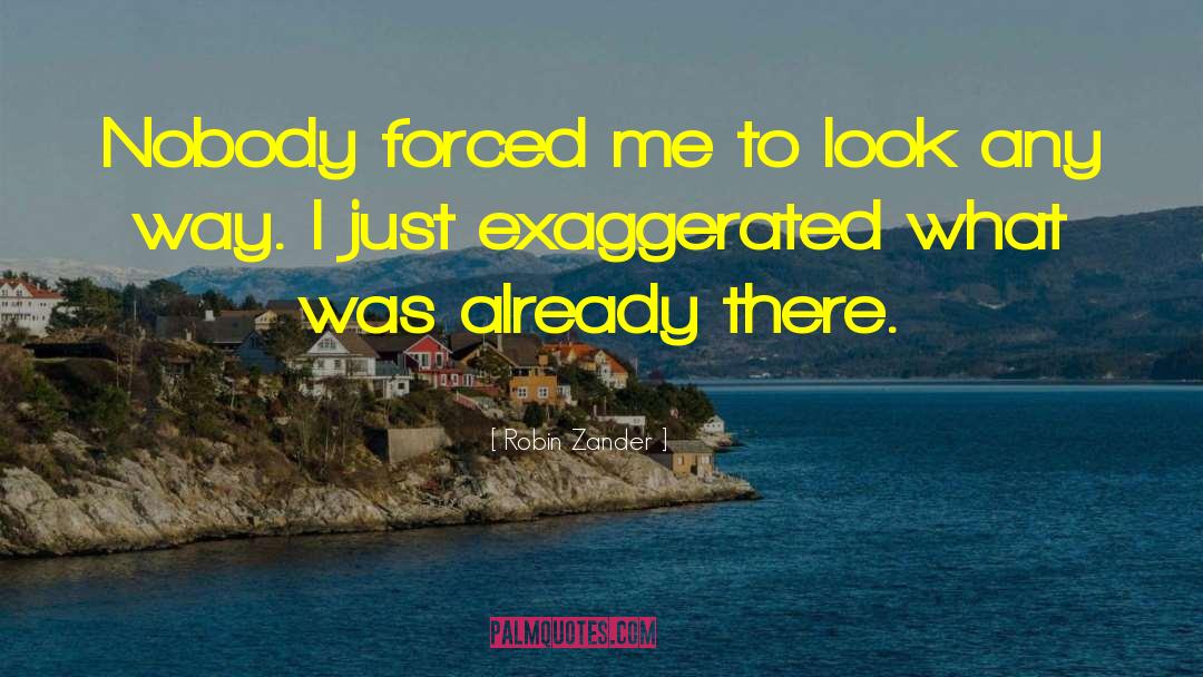 Robin Zander Quotes: Nobody forced me to look