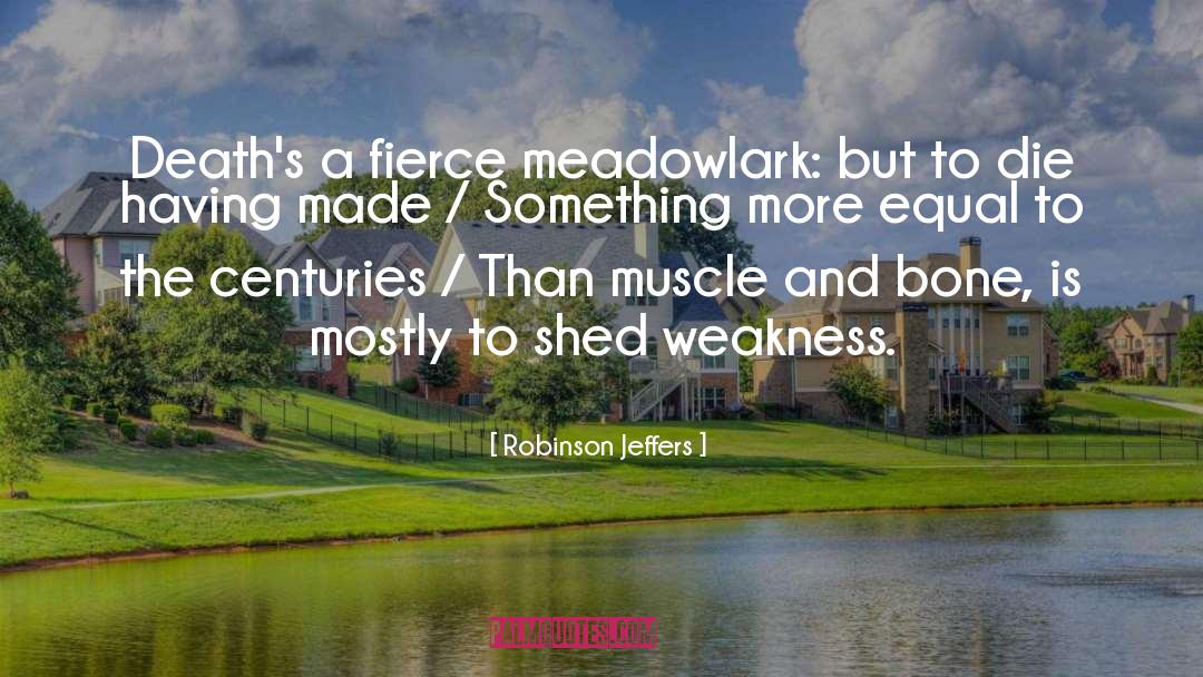 Robinson Jeffers Quotes: Death's a fierce meadowlark: but