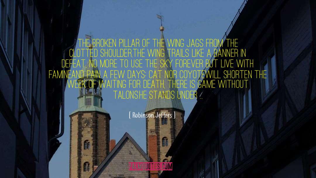 Robinson Jeffers Quotes: The broken pillar of the