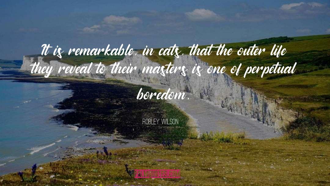 Robley Wilson Quotes: It is remarkable, in cats,