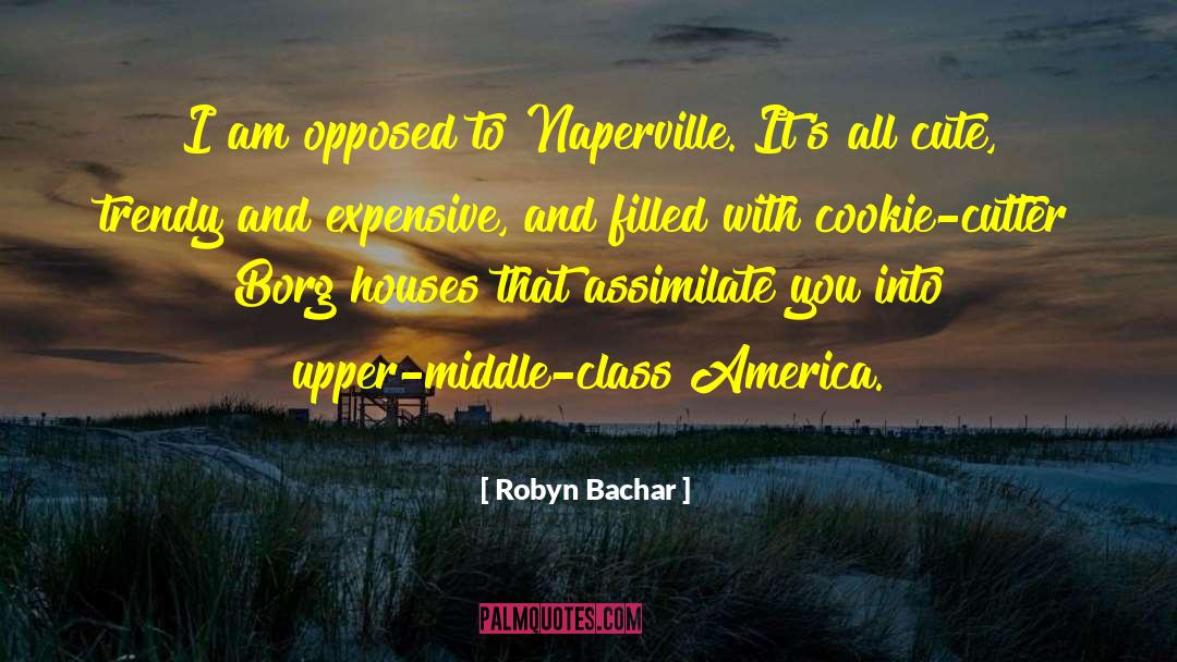 Robyn Bachar Quotes: I am opposed to Naperville.