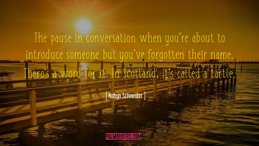 Robyn Schneider Quotes: The pause in conversation when