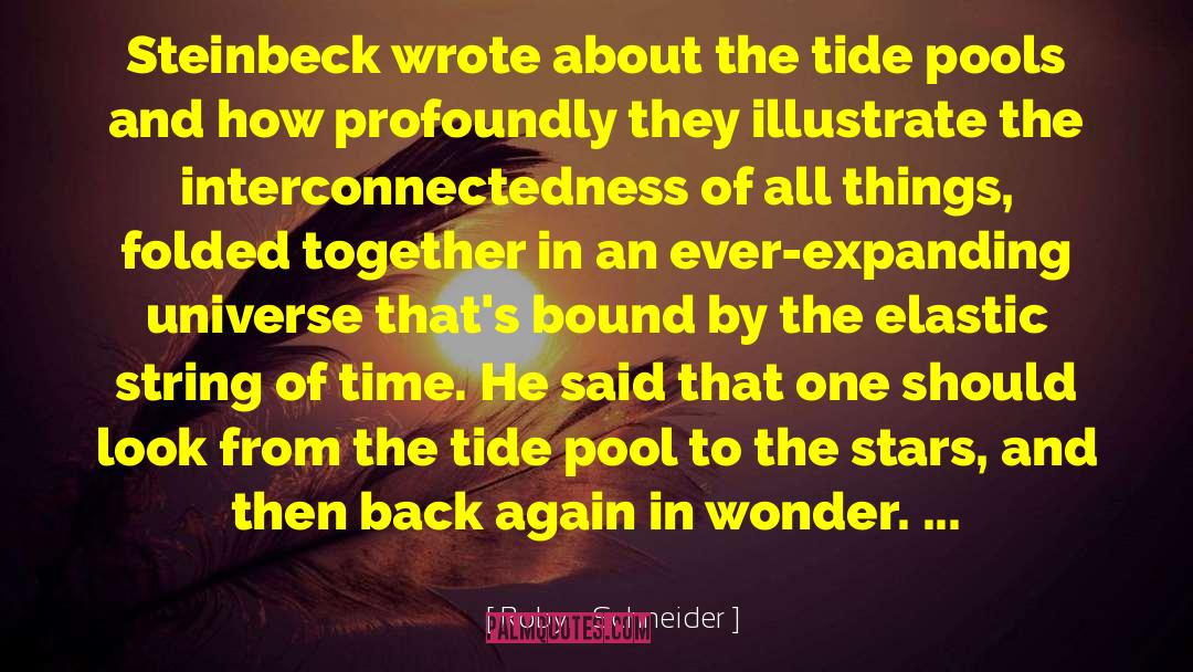 Robyn Schneider Quotes: Steinbeck wrote about the tide