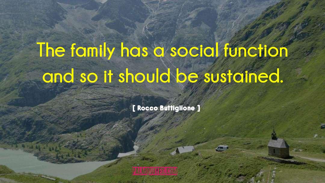 Rocco Buttiglione Quotes: The family has a social