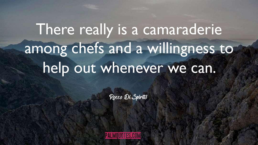 Rocco DiSpirito Quotes: There really is a camaraderie