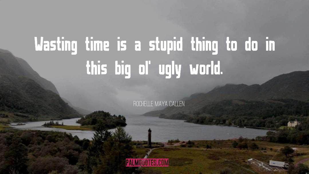 Rochelle Maya Callen Quotes: Wasting time is a stupid