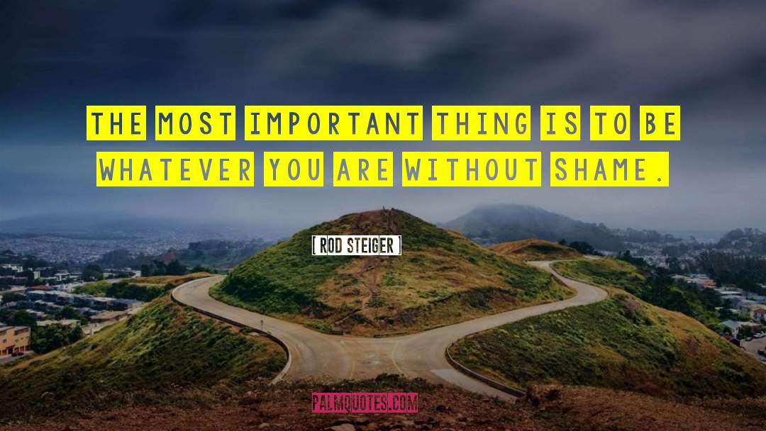 Rod Steiger Quotes: The most important thing is