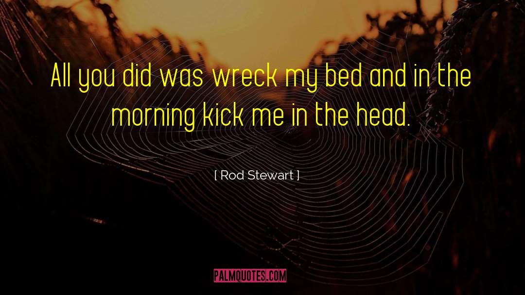 Rod Stewart Quotes: All you did was wreck