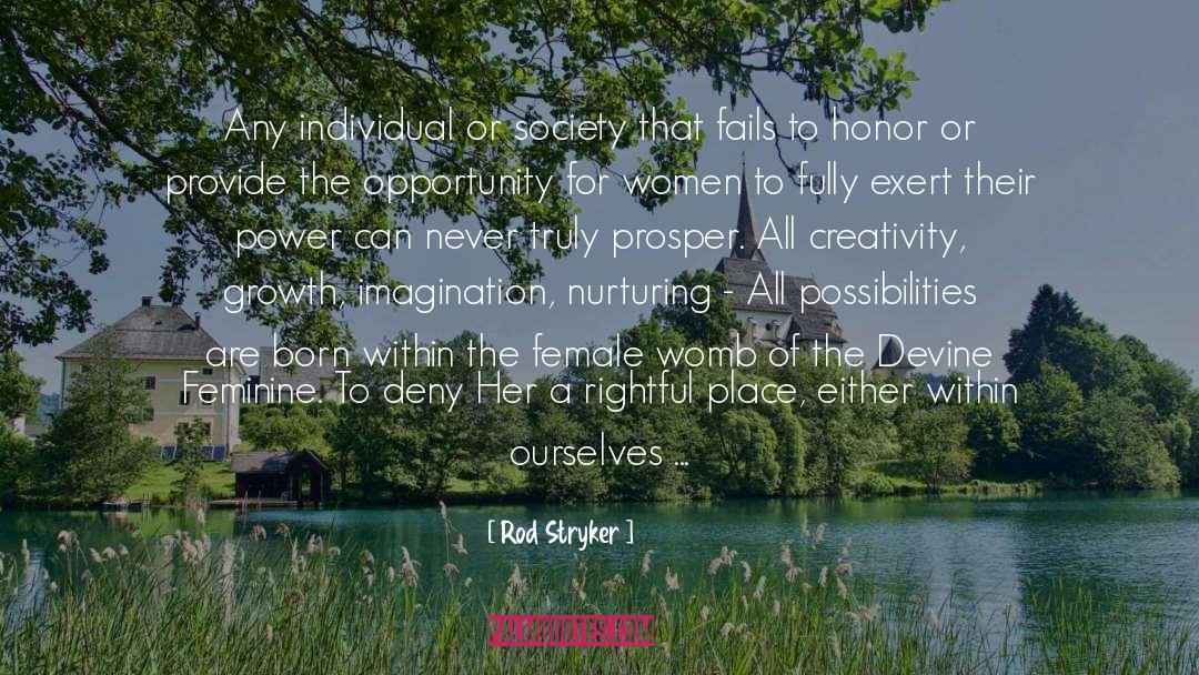 Rod Stryker Quotes: Any individual or society that