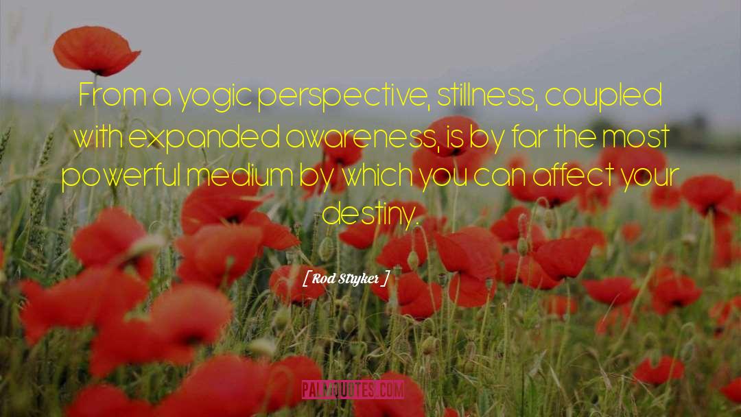 Rod Stryker Quotes: From a yogic perspective, stillness,