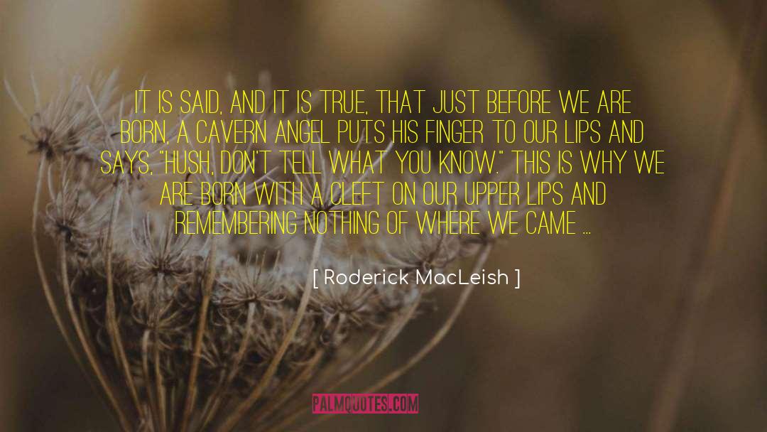 Roderick MacLeish Quotes: It is said, and it