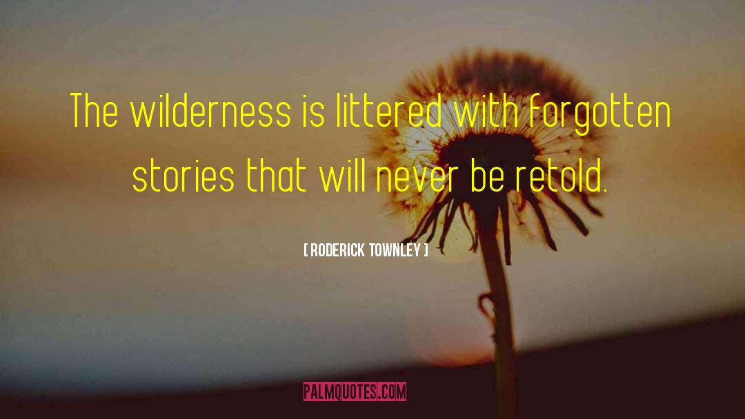 Roderick Townley Quotes: The wilderness is littered with