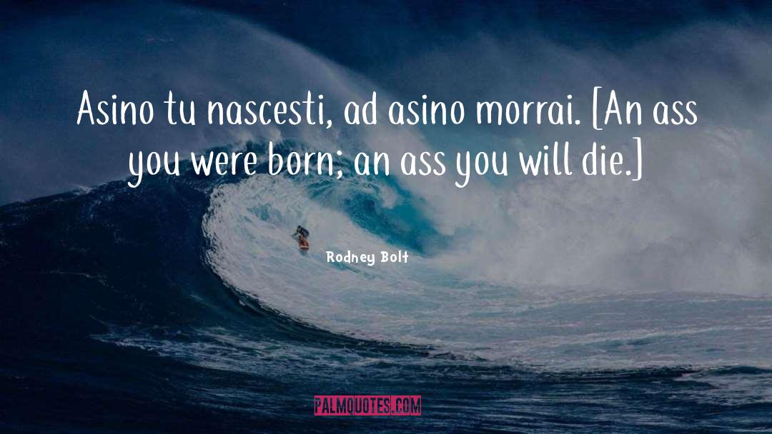 Rodney Bolt Quotes: Asino tu nascesti, ad asino