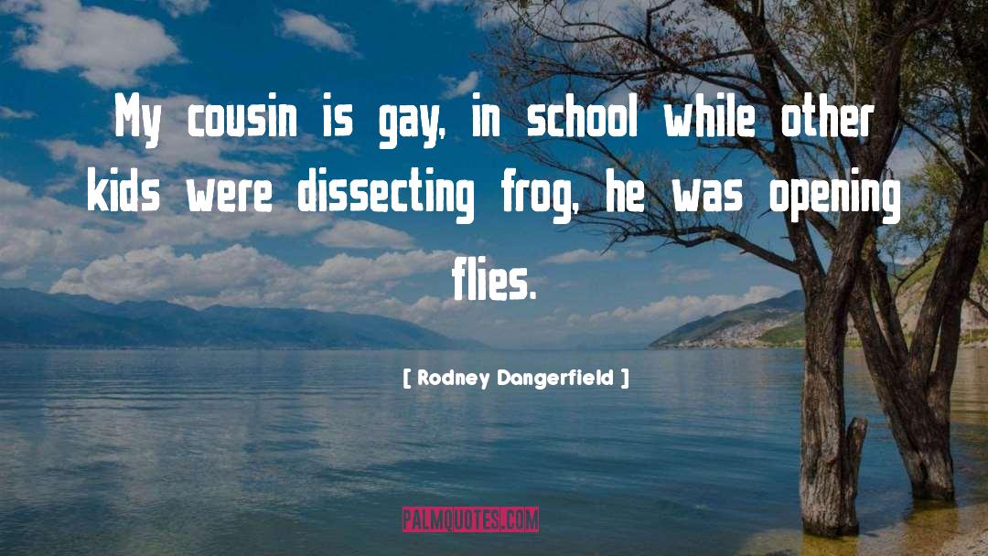Rodney Dangerfield Quotes: My cousin is gay, in