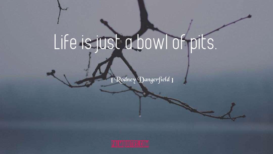 Rodney Dangerfield Quotes: Life is just a bowl