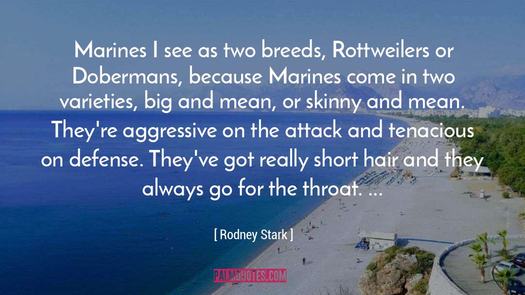 Rodney Stark Quotes: Marines I see as two