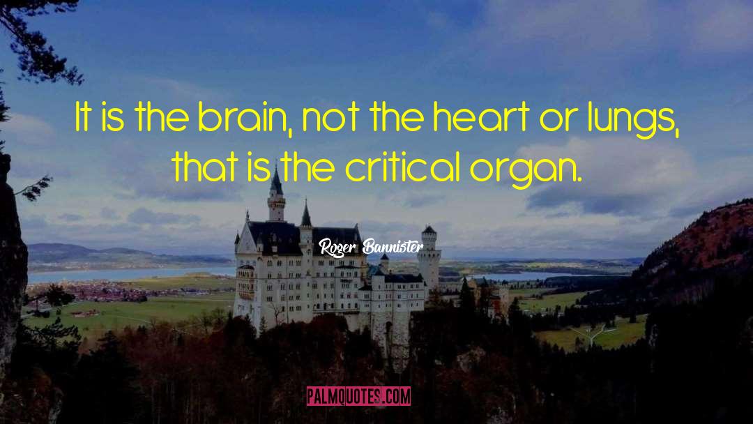Roger Bannister Quotes: It is the brain, not