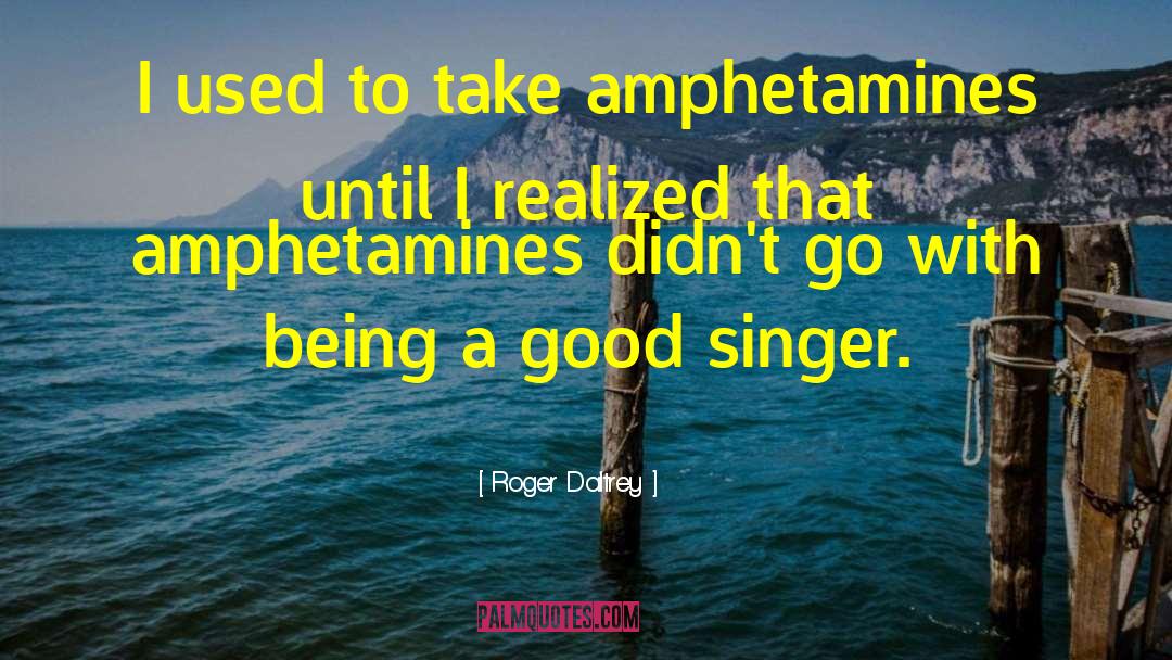 Roger Daltrey Quotes: I used to take amphetamines