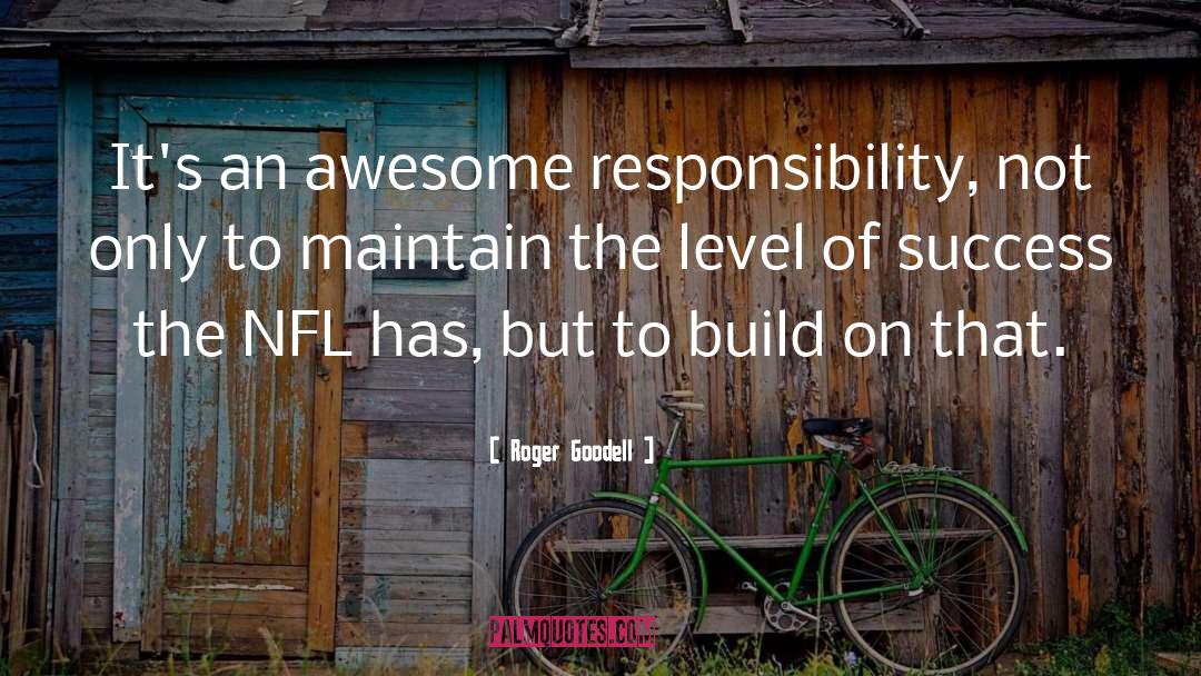 Roger Goodell Quotes: It's an awesome responsibility, not