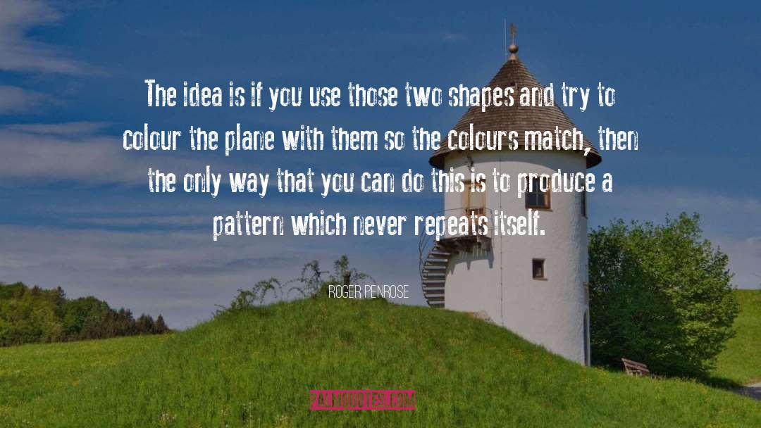 Roger Penrose Quotes: The idea is if you