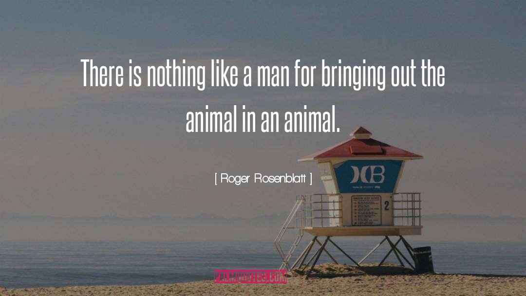 Roger Rosenblatt Quotes: There is nothing like a