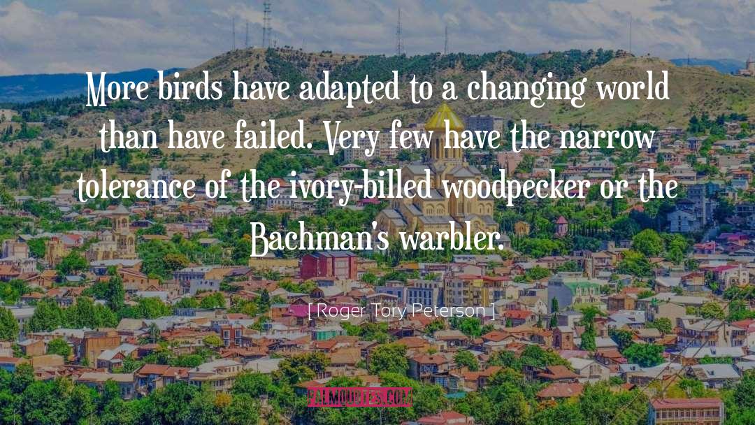 Roger Tory Peterson Quotes: More birds have adapted to