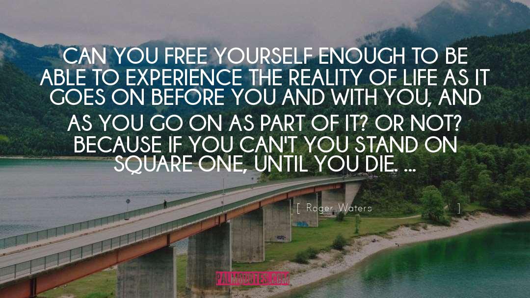 Roger Waters Quotes: CAN YOU FREE YOURSELF ENOUGH
