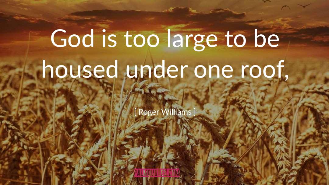 Roger Williams Quotes: God is too large to