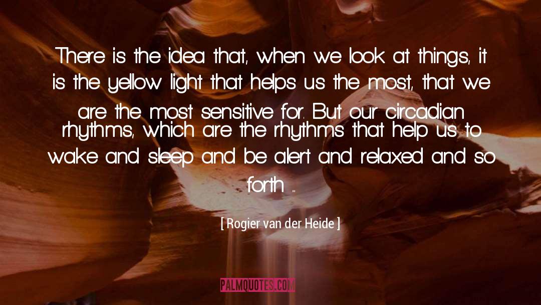 Rogier Van Der Heide Quotes: There is the idea that,