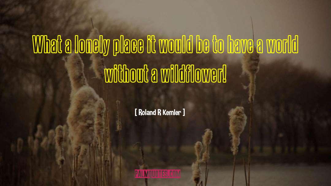 Roland R Kemler Quotes: What a lonely place it