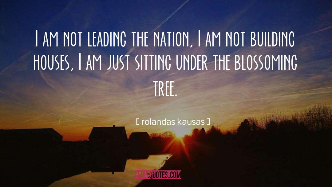 Rolandas Kausas Quotes: I am not leading the