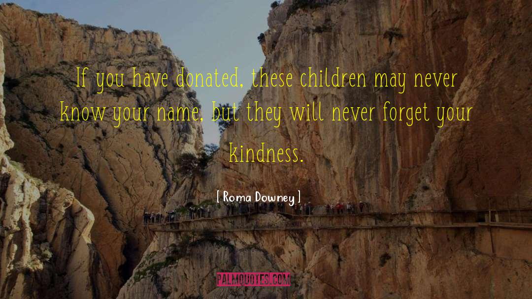 Roma Downey Quotes: If you have donated, these