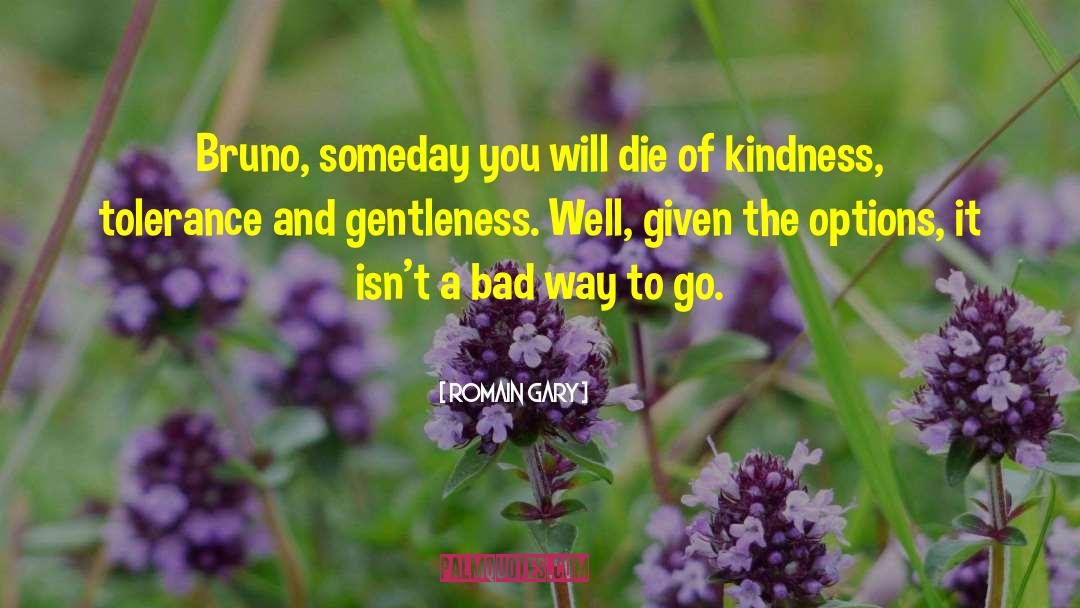 Romain Gary Quotes: Bruno, someday you will die