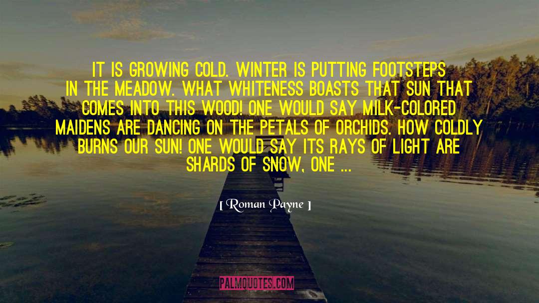 Roman Payne Quotes: It is growing cold. Winter