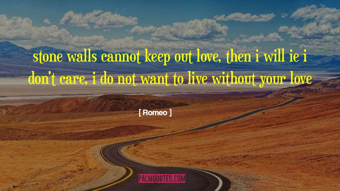 Romeo Quotes: stone walls cannot keep out