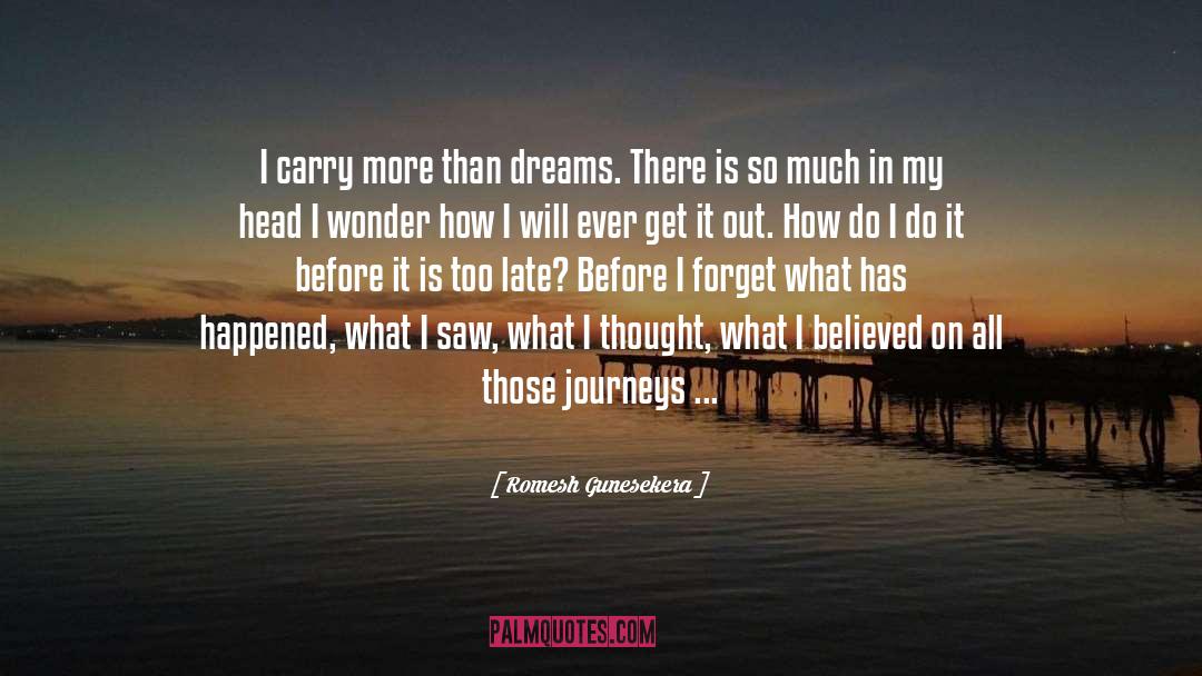 Romesh Gunesekera Quotes: I carry more than dreams.